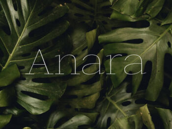 Anara