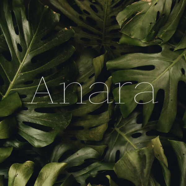 Anara