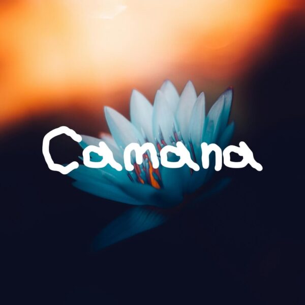 Camana