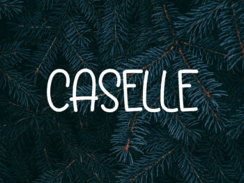 Caselle