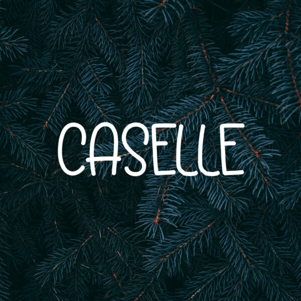 Caselle