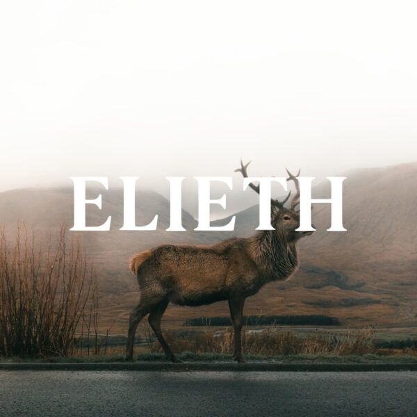 Elieth