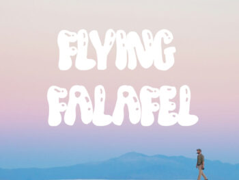 Flying Falafel