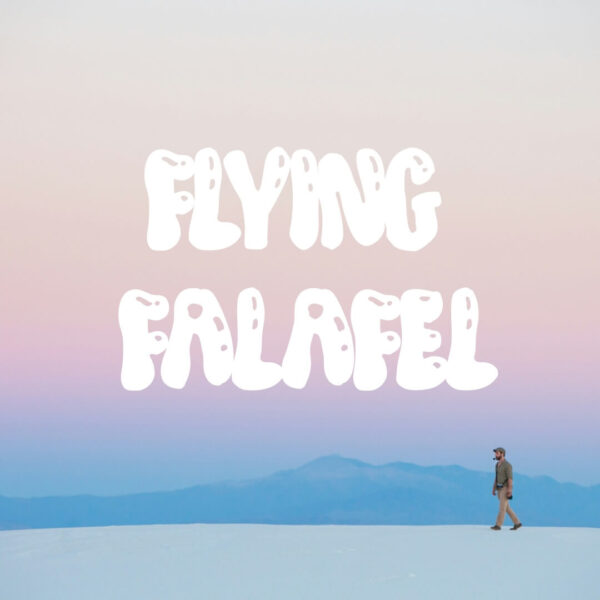 Flying Falafel