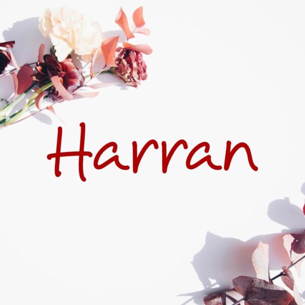 Harran