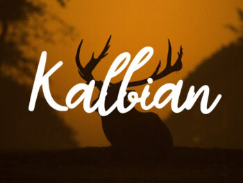 Kalbian