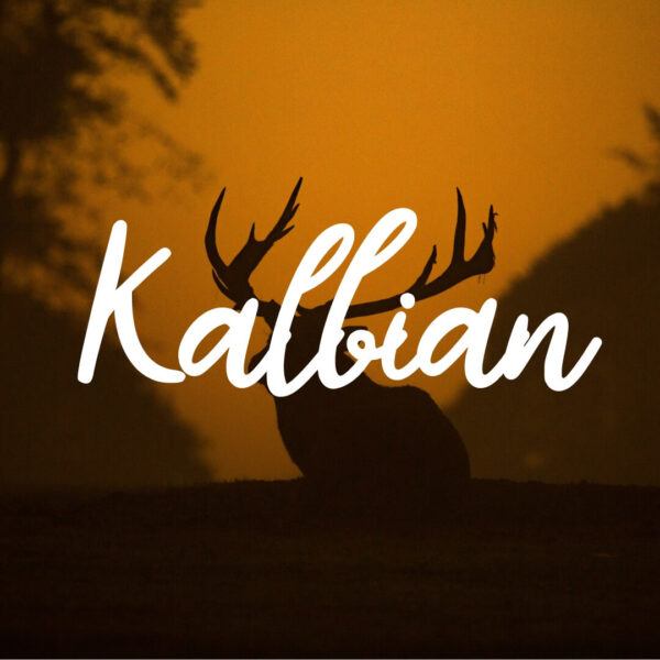 Kalbian