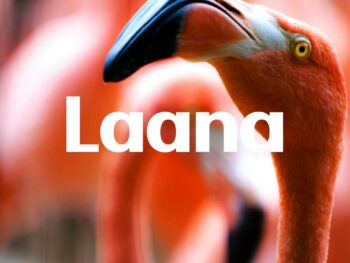 Laana
