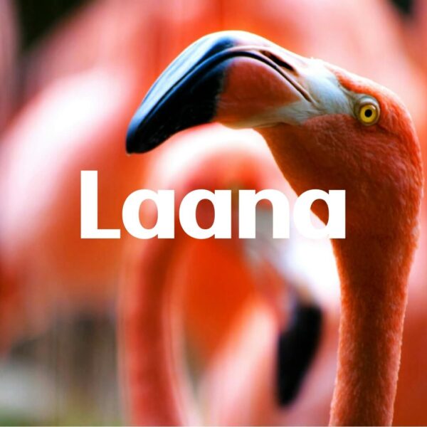 Laana