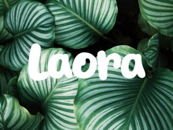 Laora