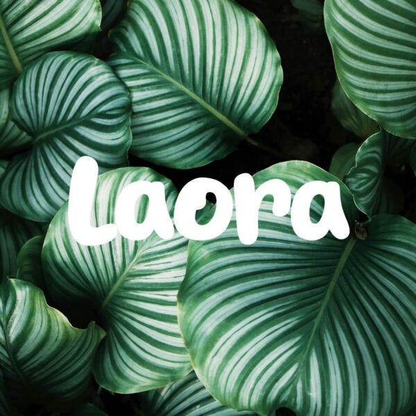 Laora