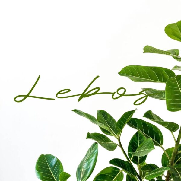 Lebos