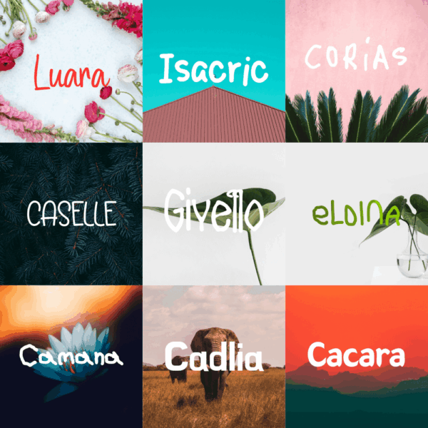 Luara Font Bundle – 9 Fonts