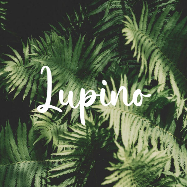 Lupino