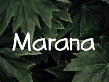 Marana