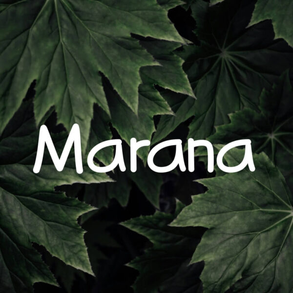 Marana