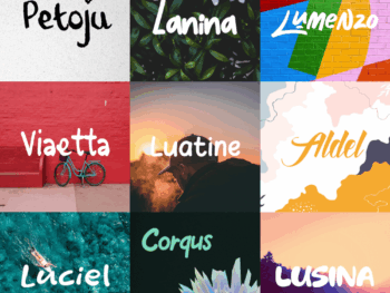 Petoju Font Bundle – 9 Fonts