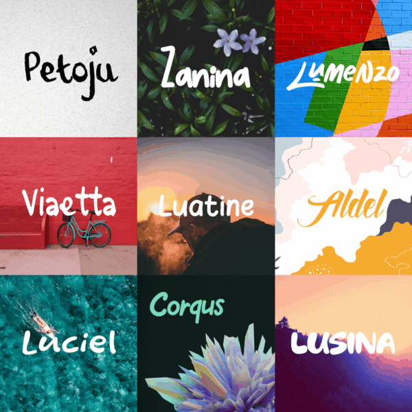 Petoju Font Bundle – 9 Fonts