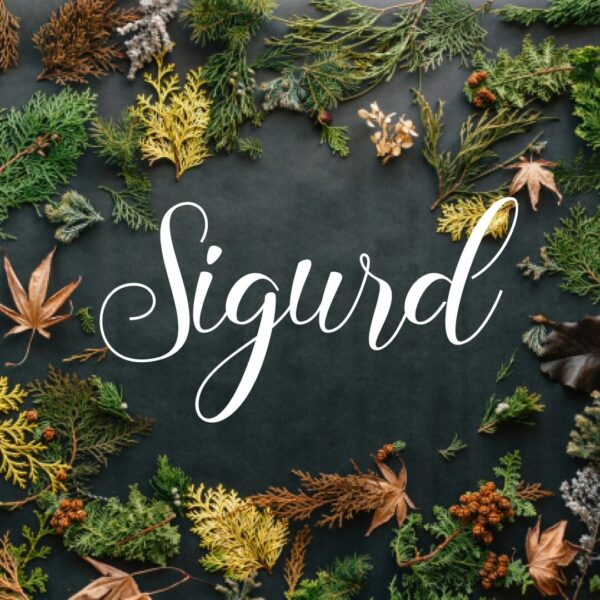 Sigurd