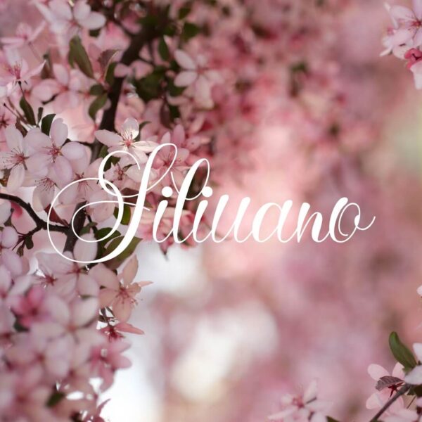 Siliuano