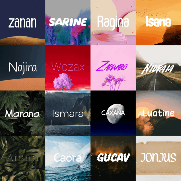 Zanan Font Bundle – 16 Fonts