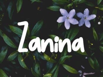 Zanina