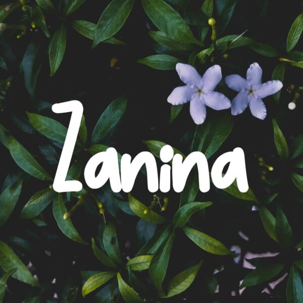 Zanina