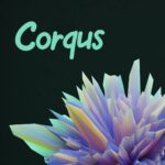 JWFonts